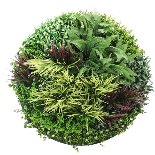 Plants