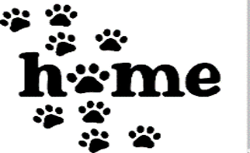 Coir Doormat, 60cm x 40cm - 'Home' (Paws)-4