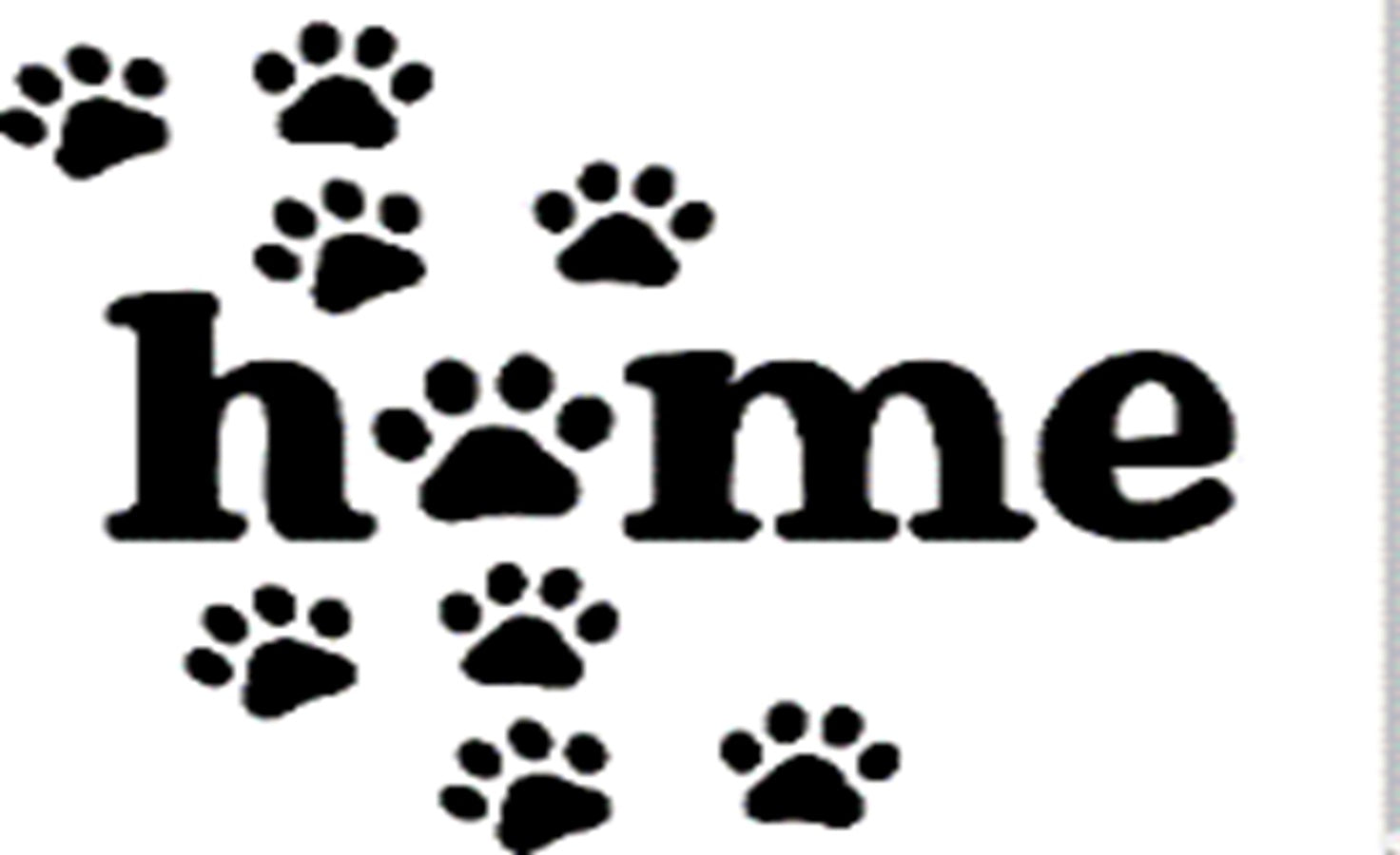 Coir Doormat, 60cm x 40cm - 'Home' (Paws)-4