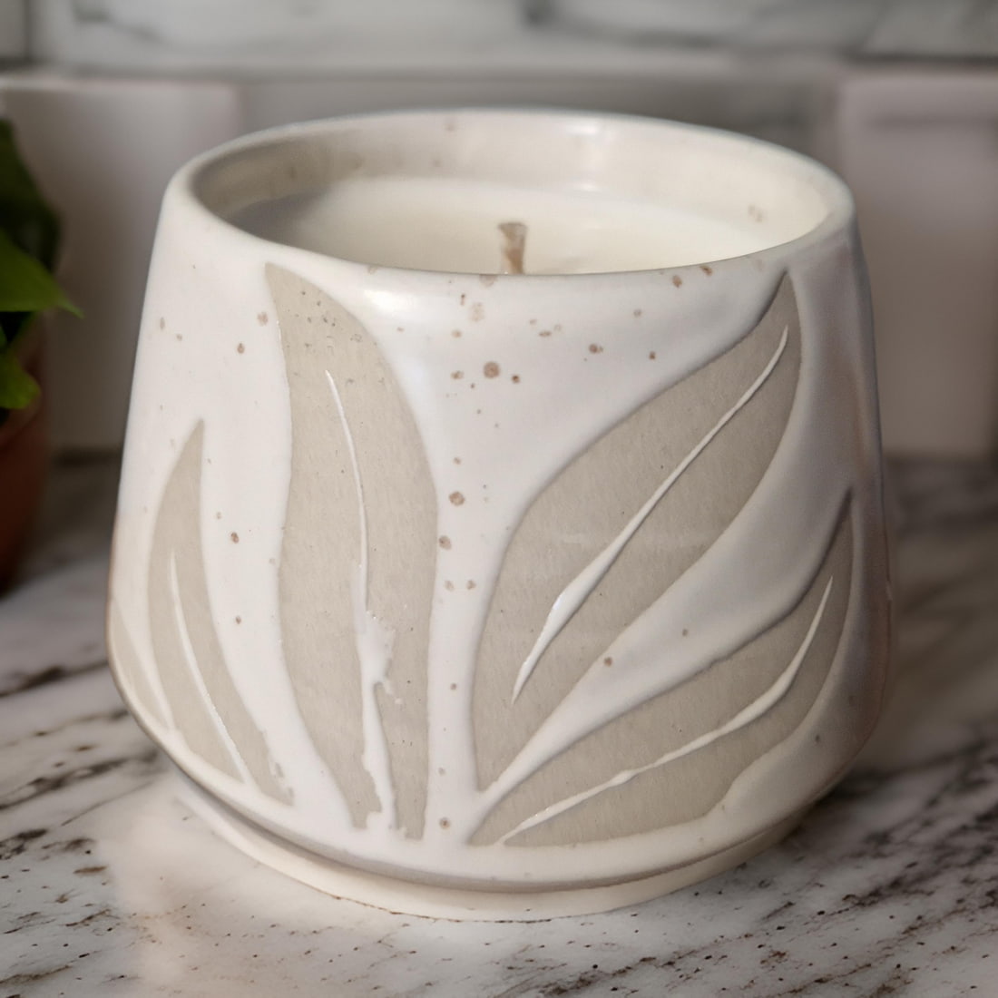 Hesperantha Detail Plant Pot