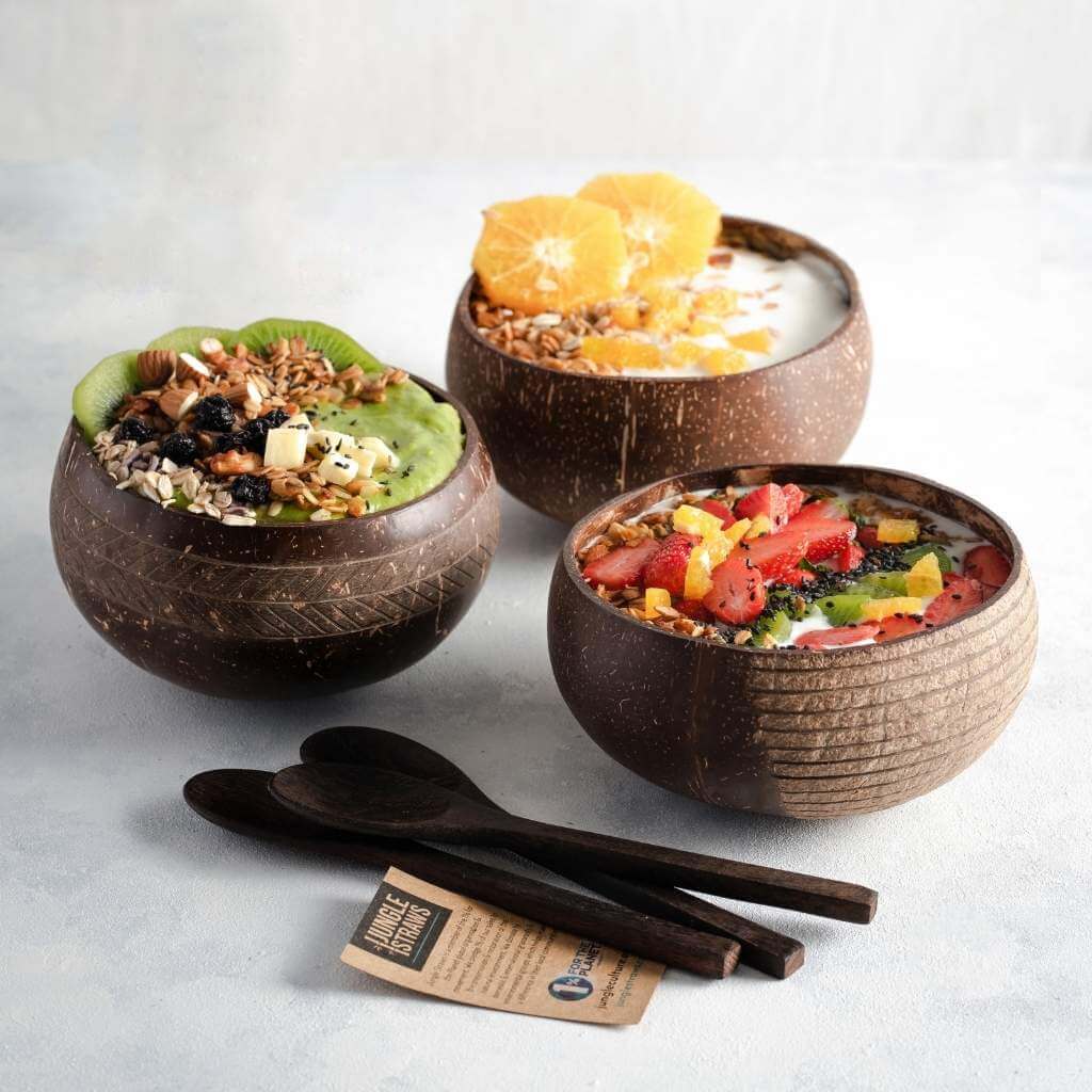 Eco-friendly Coconut Bowls & Spoons Set of 4