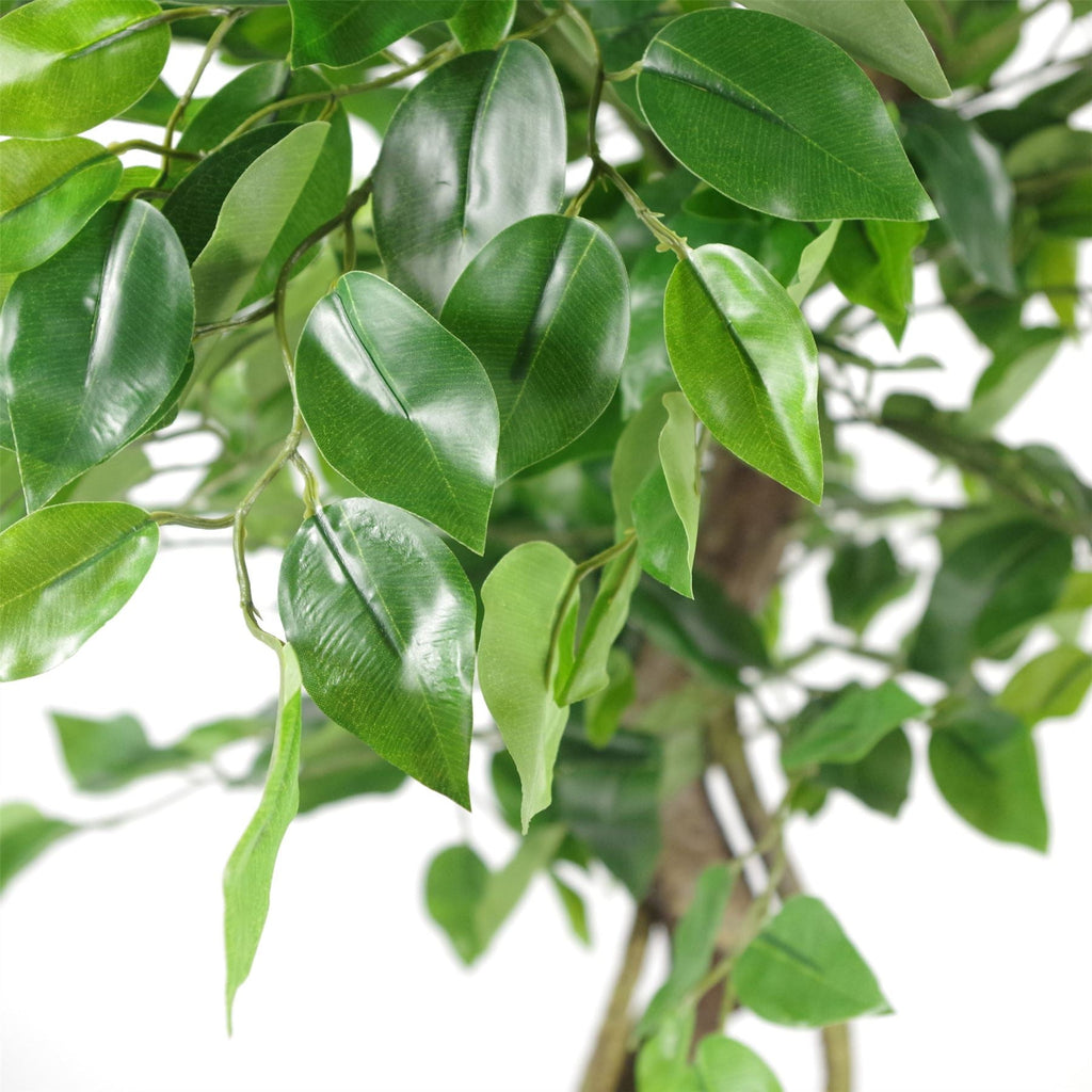 Large Artificial Japanese Fruticosa Ficus Tree Gold 120cm 4ft Realistic Botanik