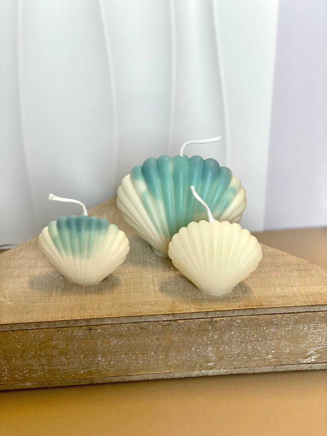 Handmade Soy Wax Shell Candles - Unique Eco-Friendly Decor with Soy Wax Shell Handmade Candles