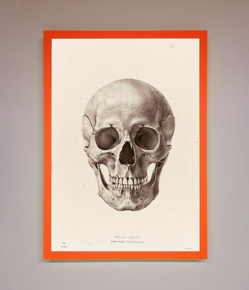 Skull Science Framed Poster