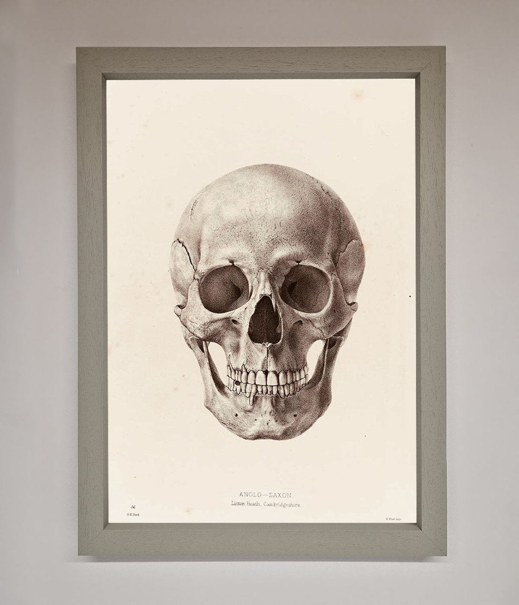 Skull Science Framed Poster