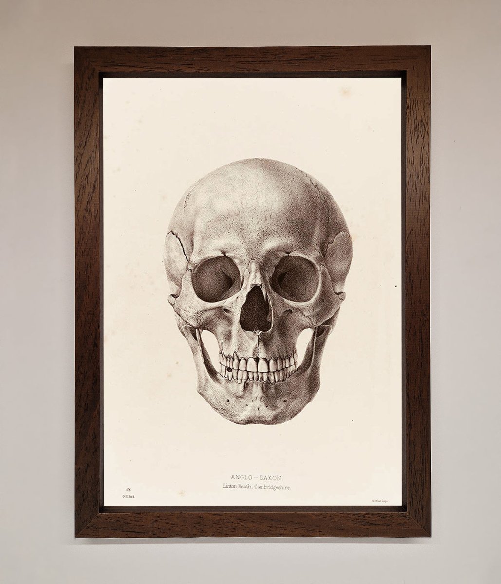 Skull Science Framed Poster