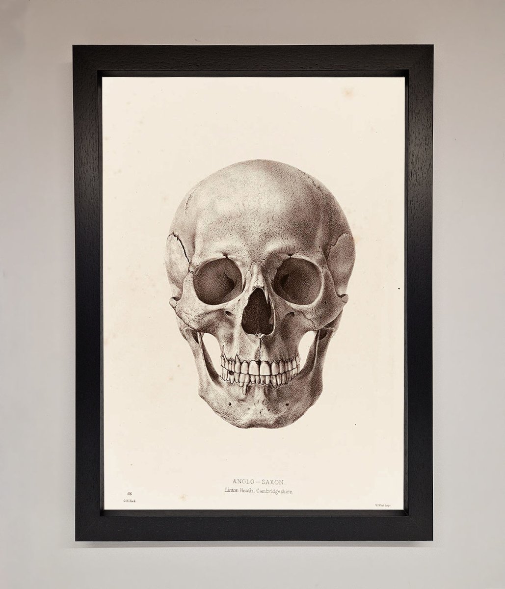 Skull Science Framed Poster