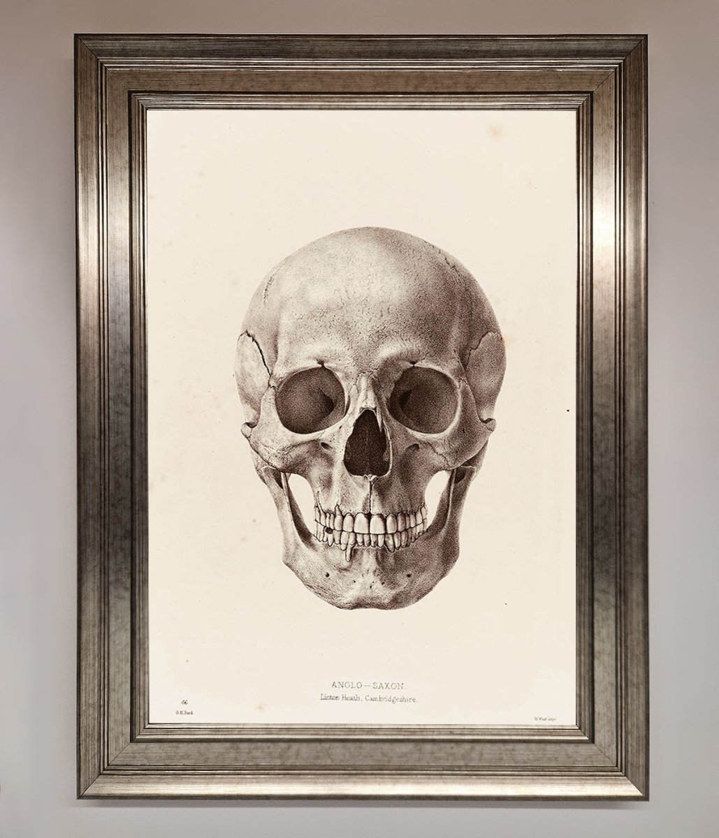 Skull Science Framed Poster